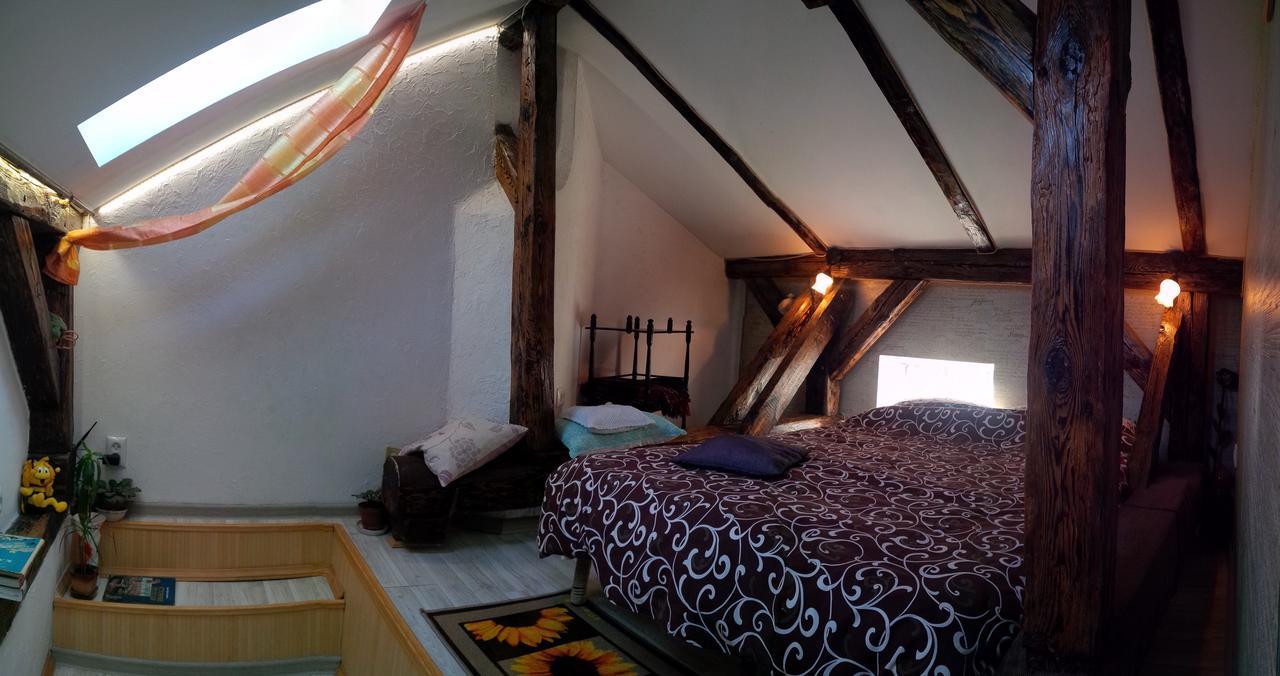 Lviv Amazing Rooftop Apartment Buitenkant foto