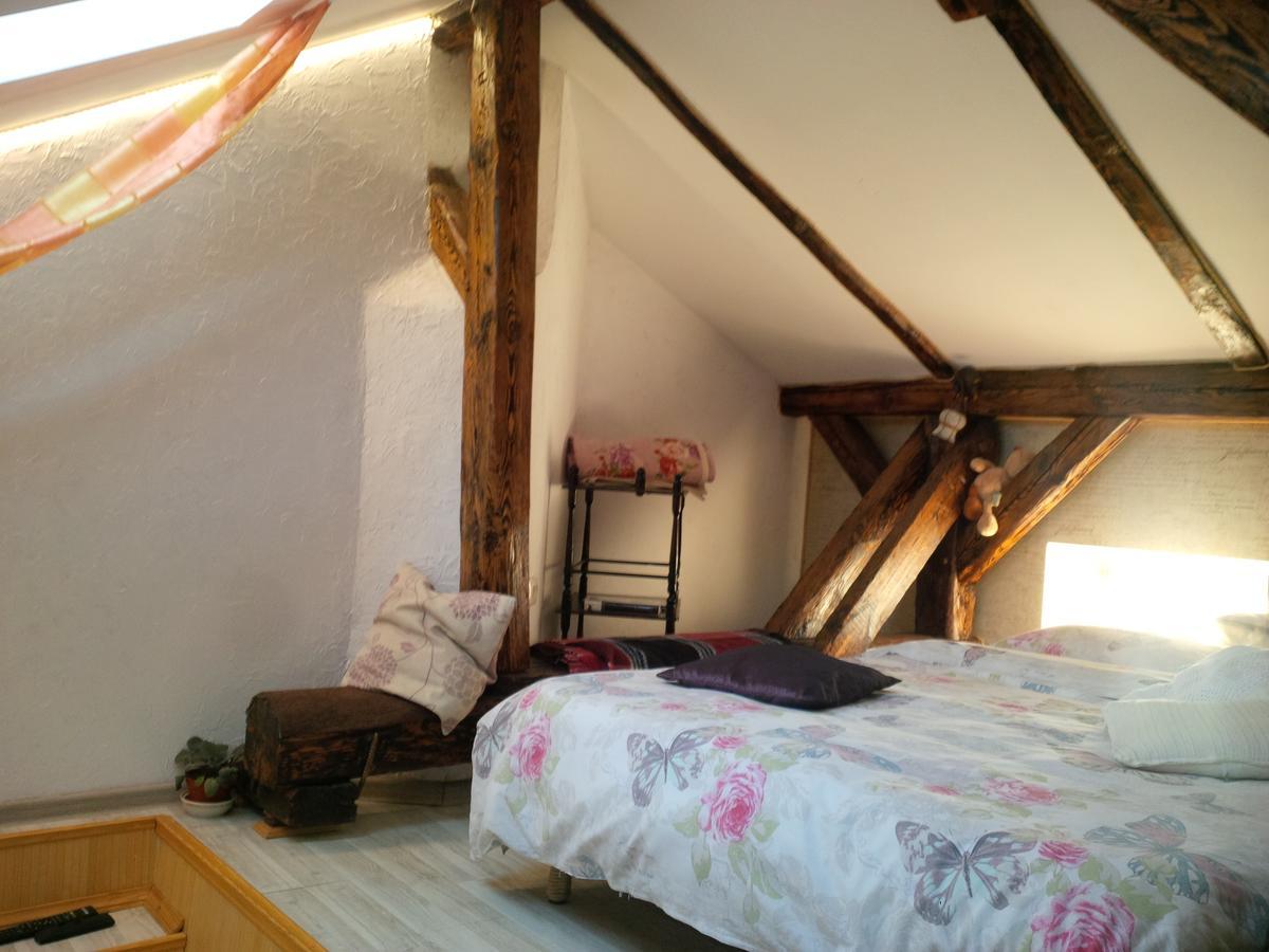 Lviv Amazing Rooftop Apartment Buitenkant foto