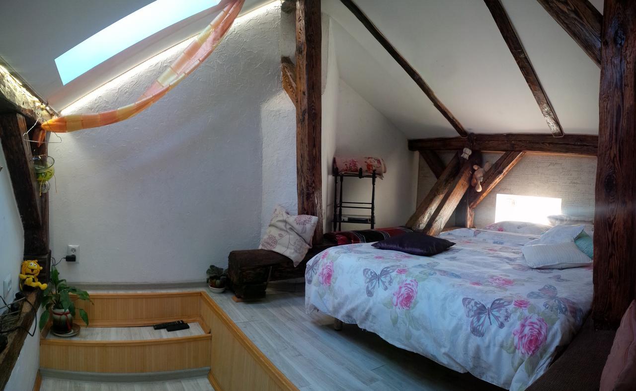 Lviv Amazing Rooftop Apartment Buitenkant foto