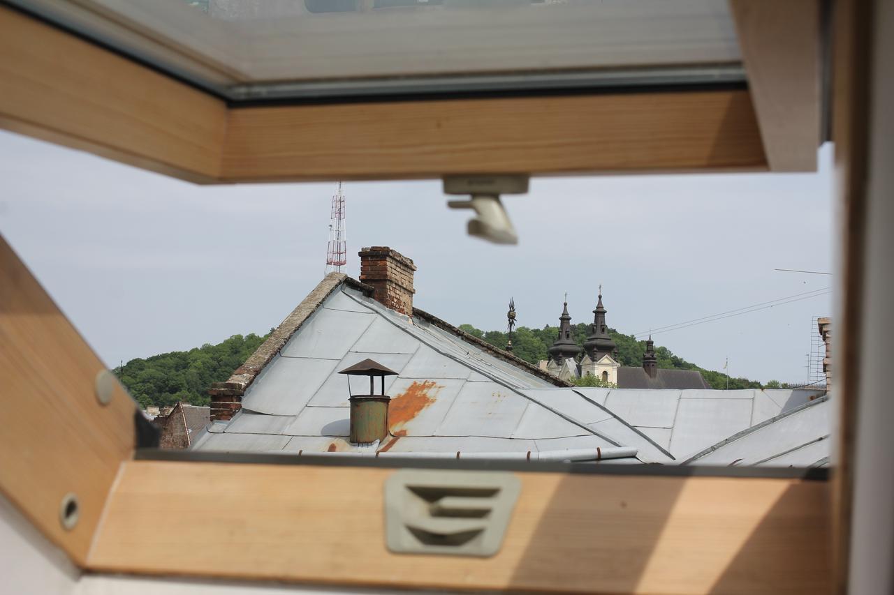Lviv Amazing Rooftop Apartment Buitenkant foto