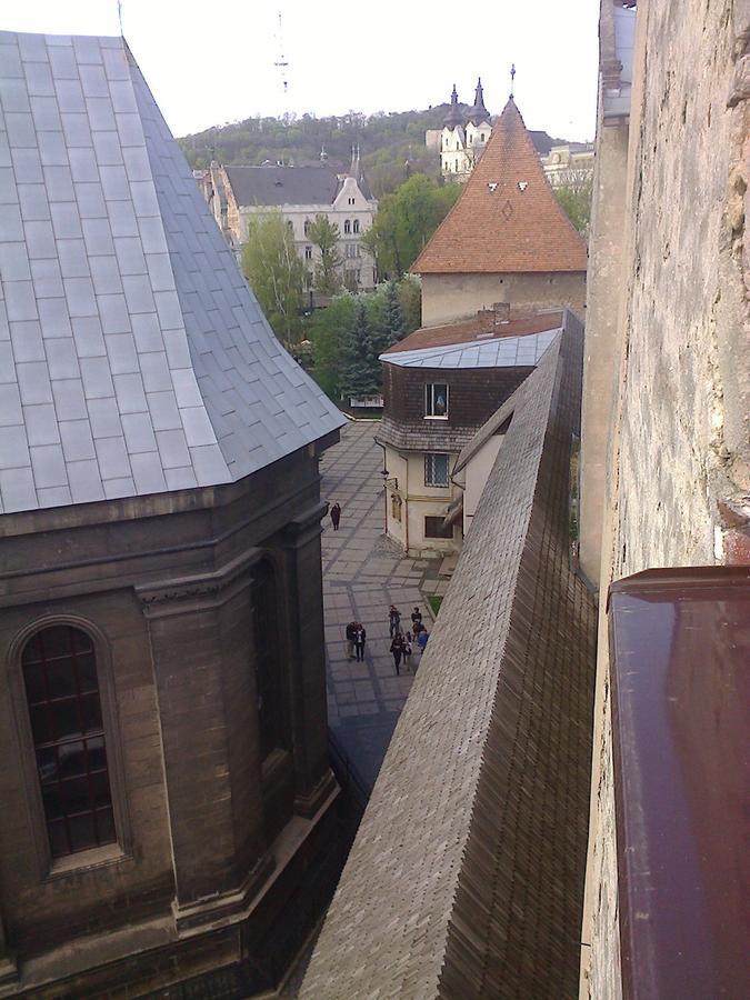 Lviv Amazing Rooftop Apartment Buitenkant foto